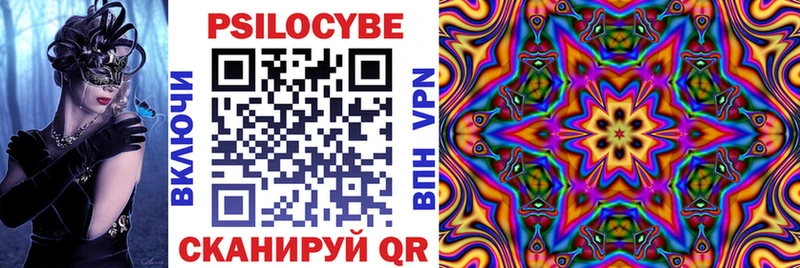 Купить где  Щёлкино  Псилоцибиновые грибы Magic Shrooms 